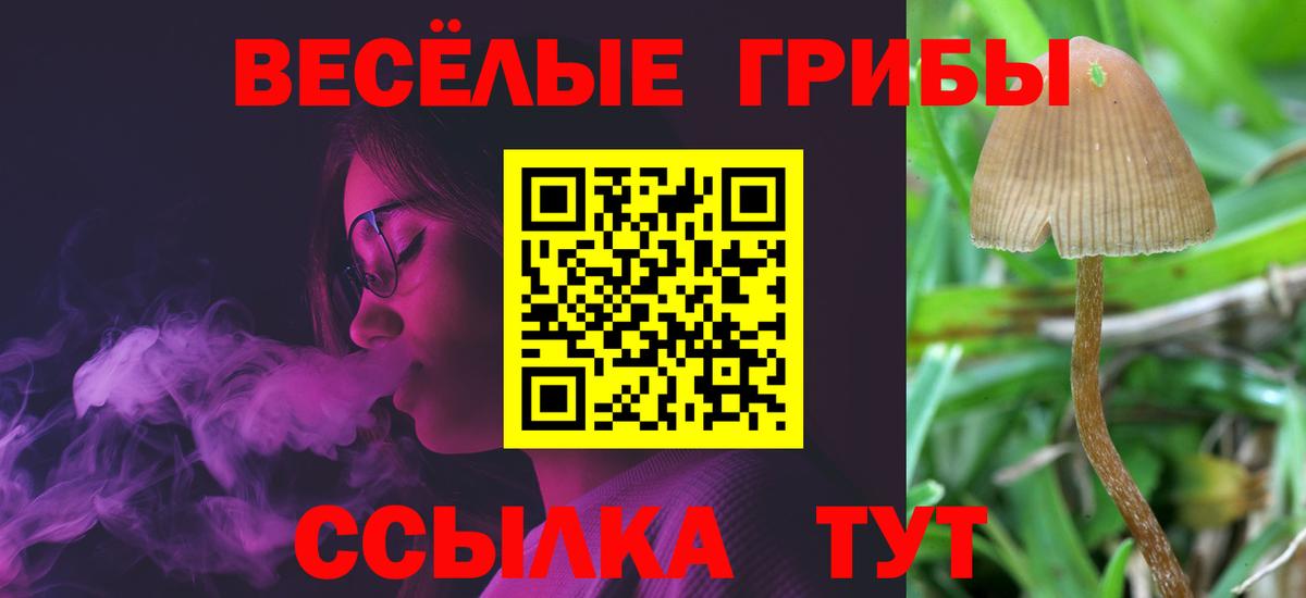 Псилоцибиновые грибы мицелий  купить наркотики сайты  Звенигород 